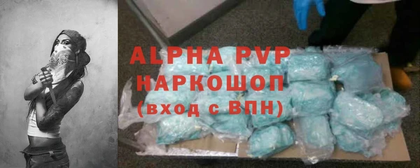 ПСИЛОЦИБИНОВЫЕ ГРИБЫ Богданович