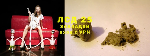 ПСИЛОЦИБИНОВЫЕ ГРИБЫ Богданович