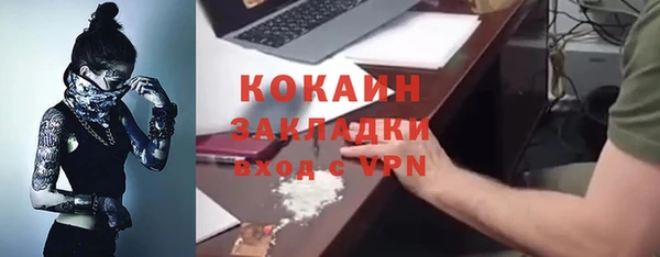 ПСИЛОЦИБИНОВЫЕ ГРИБЫ Богданович