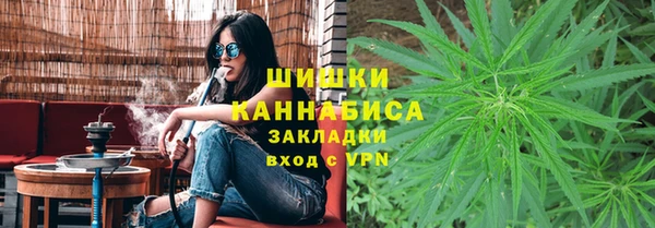 ПСИЛОЦИБИНОВЫЕ ГРИБЫ Богданович