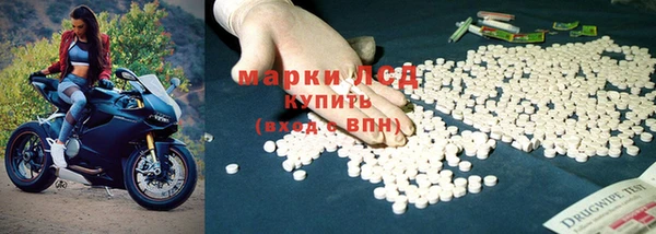 ПСИЛОЦИБИНОВЫЕ ГРИБЫ Богданович