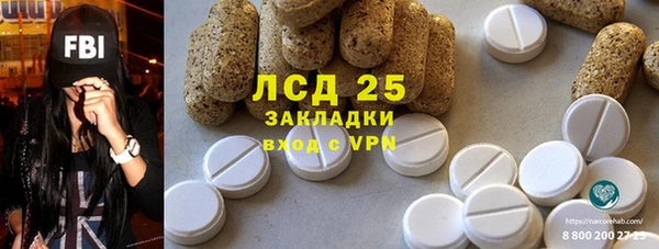 ПСИЛОЦИБИНОВЫЕ ГРИБЫ Богданович