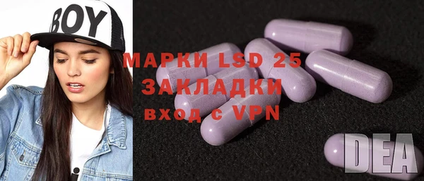 ПСИЛОЦИБИНОВЫЕ ГРИБЫ Богданович